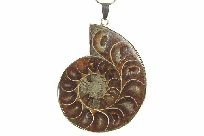 Fossil Ammonite Pendant - Million Years Old #284885